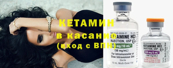 крисы Алзамай