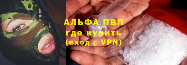 крисы Алзамай